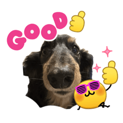 Kuusannomama_20260403020356