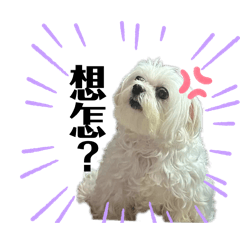 Umi小毛咪の日常