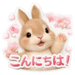 Our pets (cherry blossom viewing)