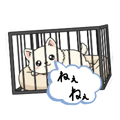 mahiro_20260403084430