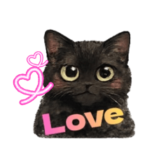 tomoyo_20260402181934