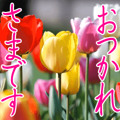 とびだす!春のチューリップ 大人の敬語