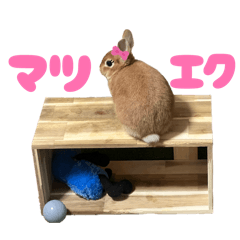 azukichi_20260403035305