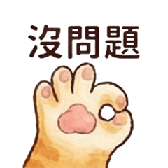 This is a orange cat