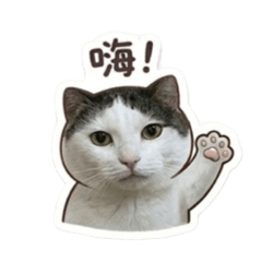 16歲的饅頭老爺爺