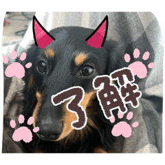 chocotan_20260402170422