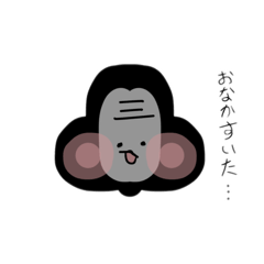 cocomi_20260402171520