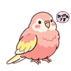 momochi_20260402203834