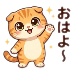 popola_20260402204528