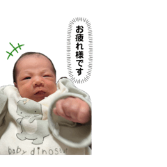 chi._20260402224452