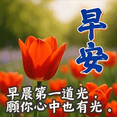 長輩問候動圖，早安心花朵朵開篇 4｜升級版