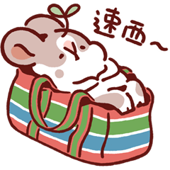 肥兔寶 - 有一點台味