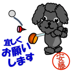 Poodle called Ando which plays golf