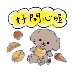 Flower tail toy poodle friends(CH)