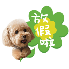 肉鬆說