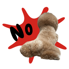 鄭豆豆黏人日常