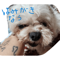 mikiti_20260402175805