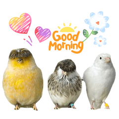 Bobby and the gangs 2