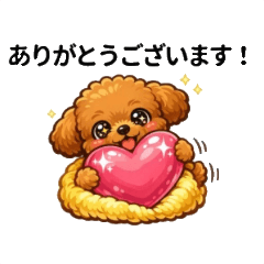 Cute Fluffy Toy Poodle: Daily Life