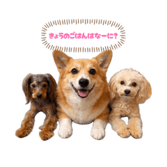 urupino_20260402232838