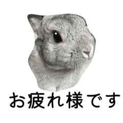 chamiramama_20260402234159