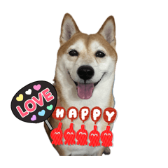 美妮的日常生活用語