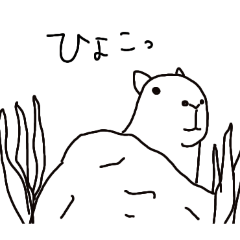 PAKAMOGOLY_20260403074230