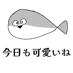 sutanpu_20260330164102