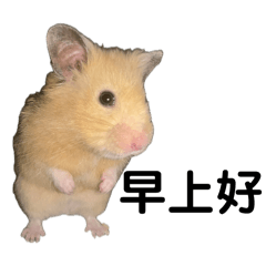 okamura_ano_20260330145547