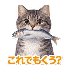 meina_20260330174535