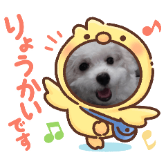 kaikun_20260402150729