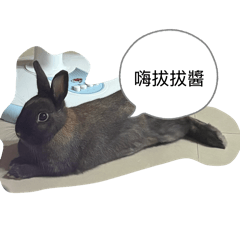 小胖貼圖第二彈