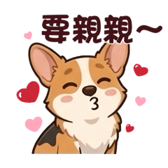 柯基小狗的日常2