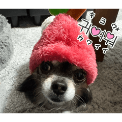 ryoga_20260402211717