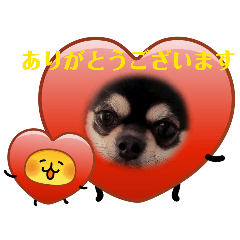 matsu_20260402212547