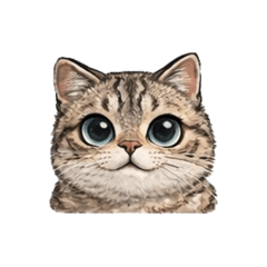 tomoyo_20260402212158