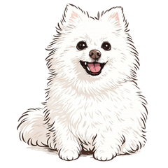 毎日使える｜ポメラニアンのもこちゃん