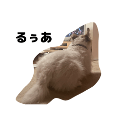 shiho_20260402212215