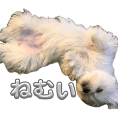 Nodoka_20260402223807