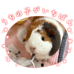 moruru_20260403003548