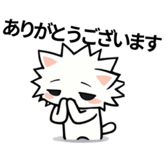 Spiky White Cat | Work & Polite Replies