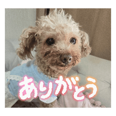 BUENA_20260402190547