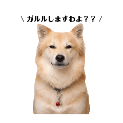 ayapi_20260402191807