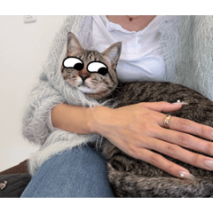 oniku_20260330191641