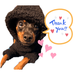 sayaka_20260402205814