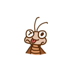 蟑螂（別買 謝謝）