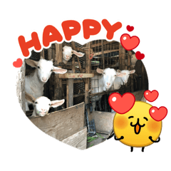 choco_20260402205356