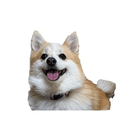 RIORIO_20260403081656