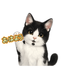 PET SEEYOUAGAIN_20260403105858