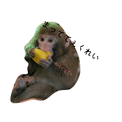 ichigomilk_20260330205636